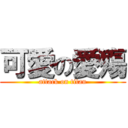 可愛の愛殤 (attack on titan)