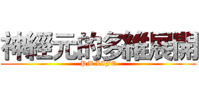 神經元的多維展開 (PM LIFE)