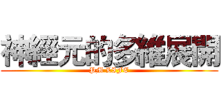 神經元的多維展開 (PM LIFE)