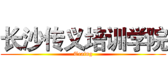 长沙传义培训学院 (Traing)