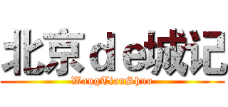 北京ｄｅ城记 (WangTianShuo)