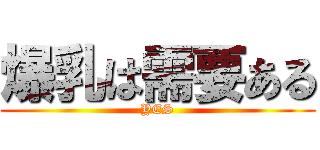 爆乳は需要ある (YES)