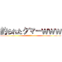 釣られたクマーｗｗｗ (釣られたクマーwww)