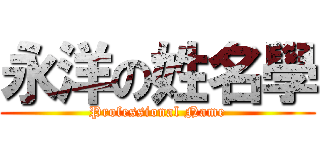 永洋の姓名學 (Professional Name)