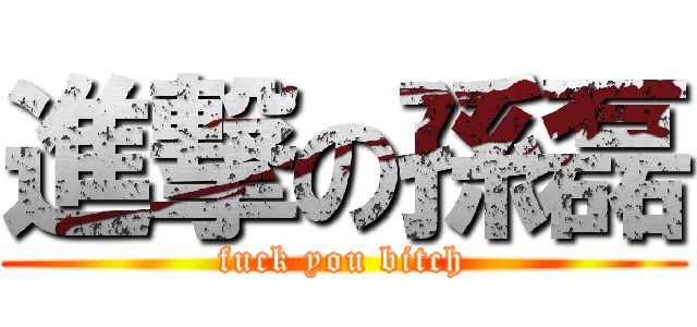 進撃の孫磊 (fuck you bitch)
