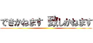 できかねます 致しかねます ()