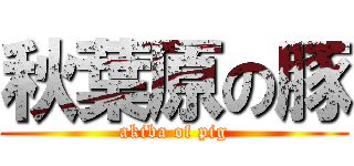 秋葉原の豚 (akiba of pig)