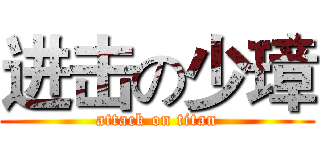 进击の少璋 (attack on titan)