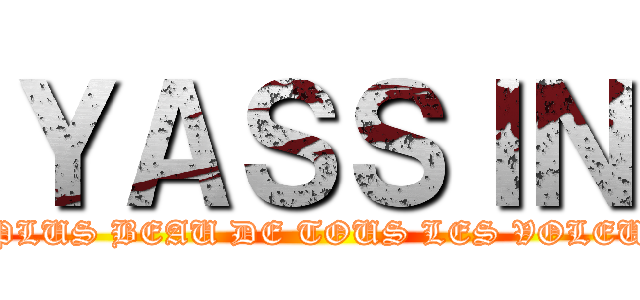 ＹＡＳＳＩＮ (LE PLUS BEAU DE TOUS LES VOLEURS)