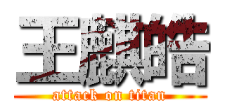 王麒皓 (attack on titan)