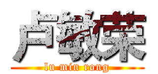 卢敏荣 (lu min rong)