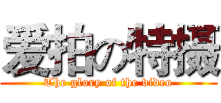爱拍の特摄 (The glory of the video)