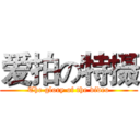 爱拍の特摄 (The glory of the video)