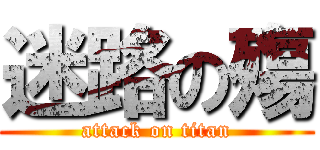 迷路の殤 (attack on titan)