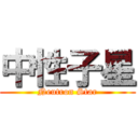 中性子星 (Neutron Star)