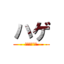 ハゲ (カピバラは神)