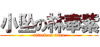 小坠の林奉紫 (attack on titan)