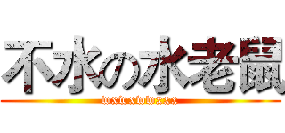 不水の水老鼠 (wxwxwwxxx)