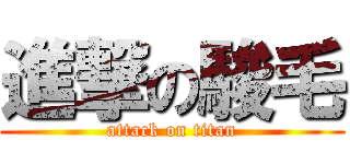 進撃の駿毛 (attack on titan)