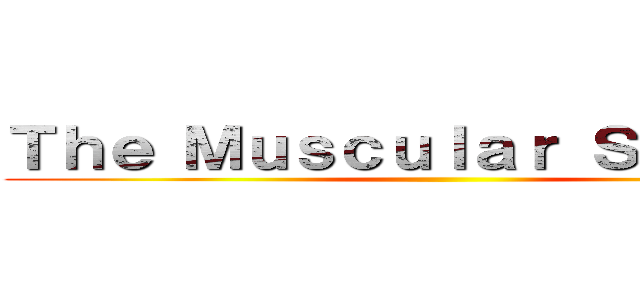 Ｔｈｅ Ｍｕｓｃｕｌａｒ Ｓｙｓｔｅｍ ()