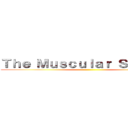Ｔｈｅ Ｍｕｓｃｕｌａｒ Ｓｙｓｔｅｍ ()