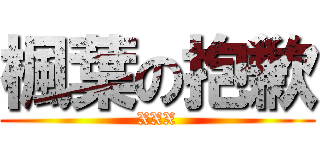 楓葉の抱歉 (XXX)