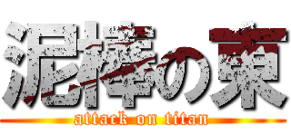 泥棒の東 (attack on titan)