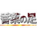 香菜の足 ()