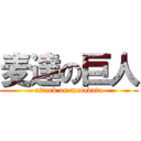 麦達の巨人 (attack on metadata)