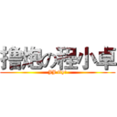 撸炮の程小卓 (JJ fly!)