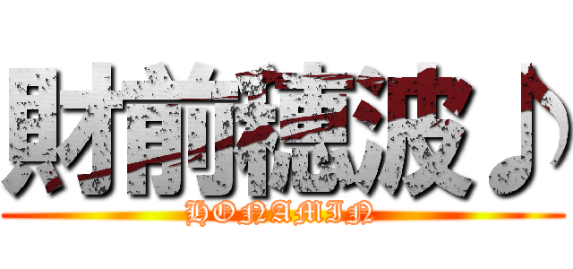 財前穂波♪ (HONAMIN)