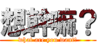 想幹嘛？ (what are you want?)