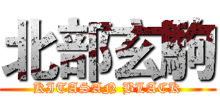 北部玄駒 (KITASAN BLACK)