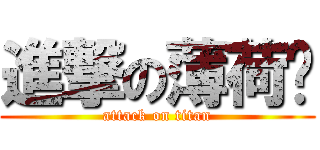 進撃の薄荷貓 (attack on titan)