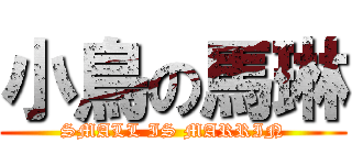 小鳥の馬琳 (SMALL IS MARRIN)