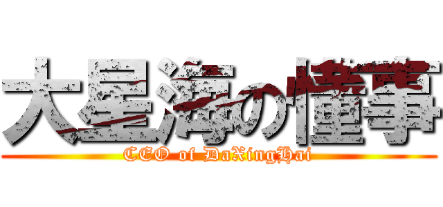 大星海の懂事 (CEO of DaXingHai)
