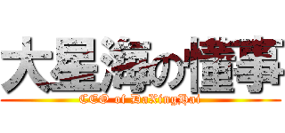 大星海の懂事 (CEO of DaXingHai)