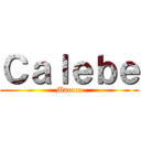 Ｃａｌｅｂｅ (Macaco)