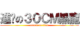 進擊の３０ＣＭ黑龍 (attack on titan)