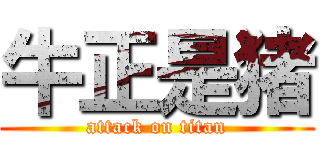 牛正是猪 (attack on titan)