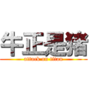 牛正是猪 (attack on titan)