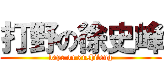 打野の徐史峰 (daye on xushifeng)