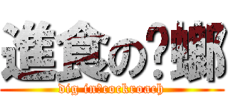 進食の蟑螂 (dig in，cockroach)