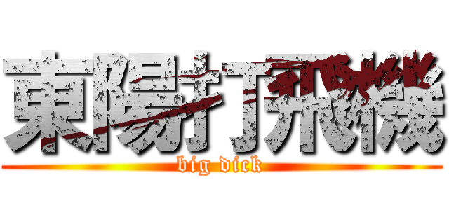東陽打飛機 (big dick)