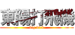 東陽打飛機 (big dick)