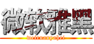 微软雅黑 (weiruanyahei)