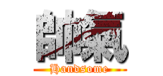 帥氣 (Handsome)