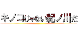 キノコじゃない紀ノ川だ ()