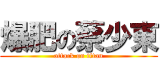 爆肥の蔡少東 (attack on titan)