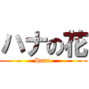 ハナの花 (Hana )